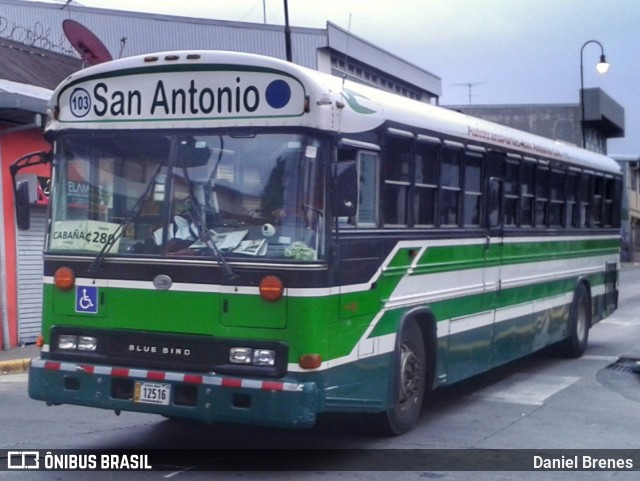Autotransportes San Antonio 103 na cidade de Catedral, San José, San José, Costa Rica, por Daniel Brenes. Número da foto: #8799367.