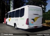 Pássaro Verde 29023 na cidade de Sete Lagoas, Minas Gerais, Brasil, por Vicente de Paulo Alves. Número da foto: #8867173.