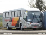 Transportes Capellini 14045 na cidade de Capivari, São Paulo, Brasil, por Gabriel Correa. Número da foto: #8867760.