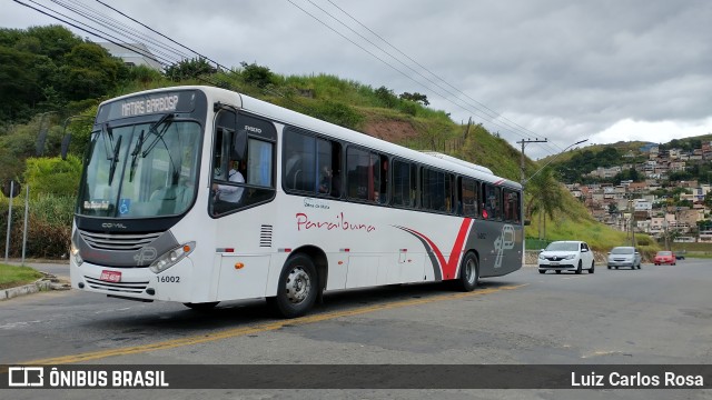 Paraibuna Transportes 16002 na cidade de Juiz de Fora, Minas Gerais, Brasil, por Luiz Carlos Rosa. Número da foto: #8894387.
