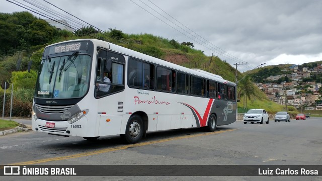 Paraibuna Transportes 16002 na cidade de Juiz de Fora, Minas Gerais, Brasil, por Luiz Carlos Rosa. ID da foto: 8894387.