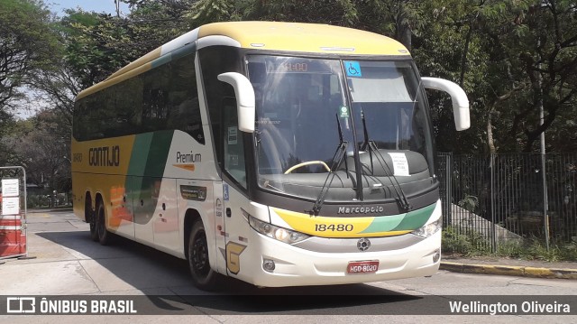 Empresa Gontijo de Transportes 18480 na cidade de São Paulo, São Paulo, Brasil, por Wellington Oliveira. ID da foto: 8893988.