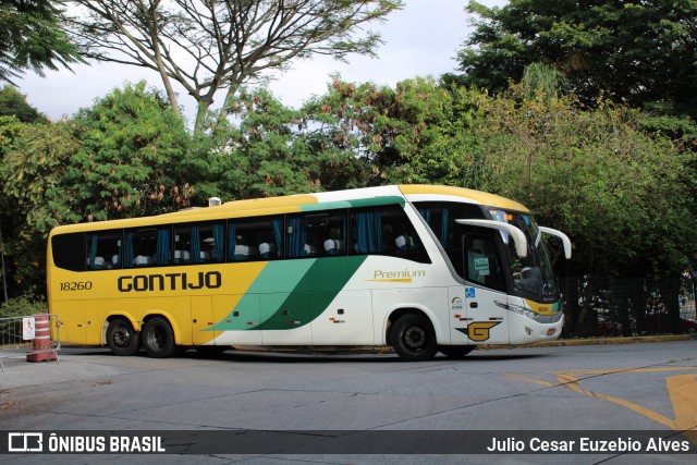 Empresa Gontijo de Transportes 18260 na cidade de São Paulo, São Paulo, Brasil, por Julio Cesar Euzebio Alves. Número da foto: #8896664.