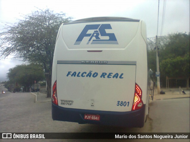 Falcão Real 3801 na cidade de Piritiba, Bahia, Brasil, por Mario dos Santos Nogueira Junior. Número da foto: #8900163.