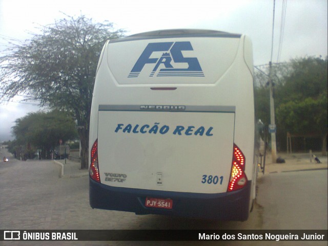 Falcão Real 3801 na cidade de Piritiba, Bahia, Brasil, por Mario dos Santos Nogueira Junior. ID da foto: 8900163.