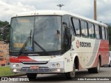 Rouxinol 919 na cidade de Belo Horizonte, Minas Gerais, Brasil, por Adão Raimundo Marcelino. Número da foto: #8900483.