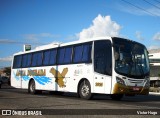 Águia Dourada 2020 na cidade de Caruaru, Pernambuco, Brasil, por Victor Hugo. Número da foto: #8899518.