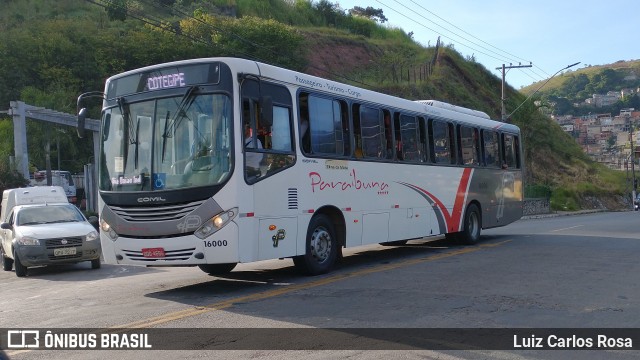 Paraibuna Transportes 16000 na cidade de Juiz de Fora, Minas Gerais, Brasil, por Luiz Carlos Rosa. Número da foto: #8900852.
