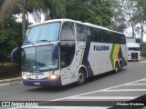 Faleiros Turismo 1590 na cidade de São Paulo, São Paulo, Brasil, por Glauber Medeiros. Número da foto: #8902021.