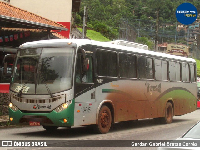 Turin Transportes 1265 na cidade de Ouro Preto, Minas Gerais, Brasil, por Gerdan Gabriel Bretas Corrêa. Número da foto: #8905157.