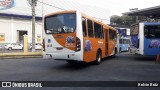 Cidade das Hortênsias 3035 na cidade de Petrópolis, Rio de Janeiro, Brasil, por Kelvin Bráz. Número da foto: #:id.