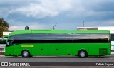 Flecha Amarilla 4425 na cidade de Morelia, Michoacán, México, por Fabián Reyes. Número da foto: #8913555.