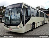 Viação do Sul 26598 na cidade de Curitiba, Paraná, Brasil, por Hipólito Rodrigues. Número da foto: #:id.