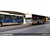 Borborema Imperial Transportes 855 na cidade de Olinda, Pernambuco, Brasil, por Andrey Alves. ID da foto: :id.