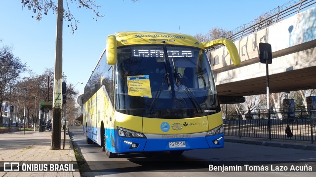 Ilustre Municipalidad de Maipú PGPB18 na cidade de Maipú, Santiago, Metropolitana de Santiago, Chile, por Benjamín Tomás Lazo Acuña. Número da foto: #8923603.