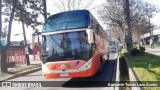 Autobuses sin identificación - Chile TURISBACC na cidade de Maipú, Santiago, Metropolitana de Santiago, Chile, por Benjamín Tomás Lazo Acuña. Número da foto: #8923599.