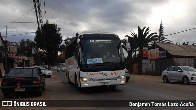 Buses Hualpén 647 na cidade de Padre Hurtado, Talagante, Metropolitana de Santiago, Chile, por Benjamín Tomás Lazo Acuña. Número da foto: #8928630.