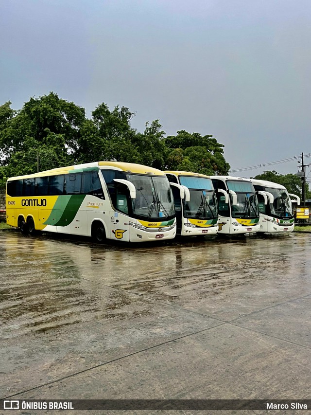 Empresa Gontijo de Transportes 18605 na cidade de Recife, Pernambuco, Brasil, por Marco Silva. Número da foto: #8929859.