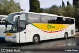 Transol Transportes e Turismo 77 na cidade de Eilat, Israel, por Rodrigo Miguel. Número da foto: #8929674.