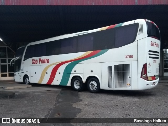Expresso São Pedro 3750 na cidade de Santa Maria, Rio Grande do Sul, Brasil, por Busologo Holken. Número da foto: #8931261.