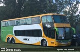 Damiju 214 na cidade de Sastre, San Martín, Santa Fe, Argentina, por Agustin SanCristobal1712. Número da foto: #8931745.