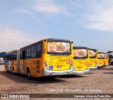 Transportes Capellini 23028 na cidade de Hortolândia, São Paulo, Brasil, por Henrique Alves de Paula Silva. Número da foto: #8942067.
