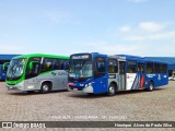 Transportes Capellini 19.128 na cidade de Hortolândia, São Paulo, Brasil, por Henrique Alves de Paula Silva. Número da foto: #8942002.