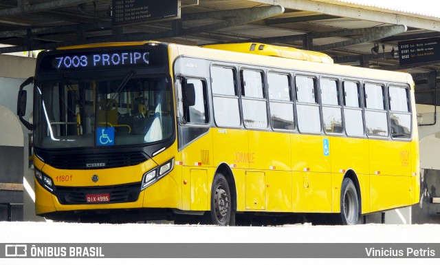 Gidion Transporte e Turismo 11801 na cidade de Joinville, Santa Catarina, Brasil, por Vinicius Petris. ID da foto: 8943446.