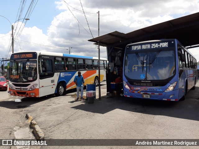 TUPSA 00 na cidade de Alajuela, Alajuela, Costa Rica, por Andrés Martínez Rodríguez. Número da foto: #8874085.