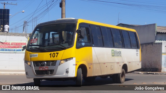 Grande Ocidental RESERVA 107 na cidade de Novo Gama, Goiás, Brasil, por João Gonçalves. Número da foto: #8874524.