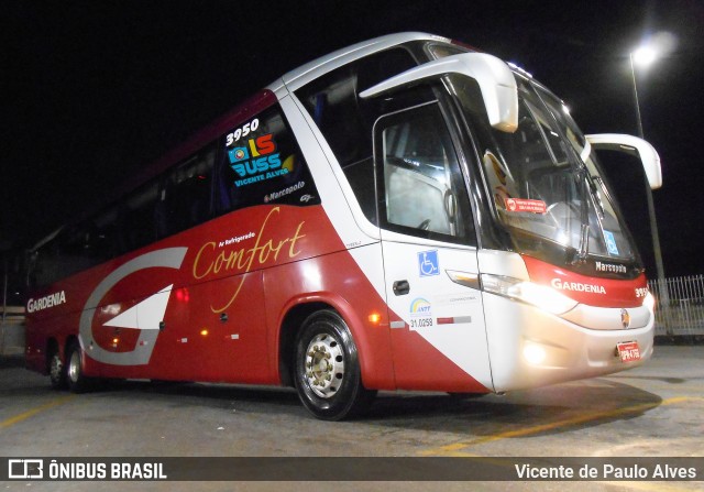 Expresso Gardenia 3950 na cidade de Belo Horizonte, Minas Gerais, Brasil, por Vicente de Paulo Alves. Número da foto: #8872049.