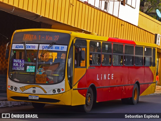 Lince 26 na cidade de Asunción, Paraguai, por Sebastian Espinola. Número da foto: #8949649.