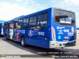 Transportes Capellini 19.162 na cidade de Hortolândia, São Paulo, Brasil, por Henrique Alves de Paula Silva. Número da foto: #8951072.