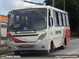 Rouxinol 1600 na cidade de Belo Horizonte, Minas Gerais, Brasil, por Adão Raimundo Marcelino. Número da foto: #8878943.