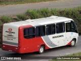Rouxinol 011 na cidade de Belo Horizonte, Minas Gerais, Brasil, por Adão Raimundo Marcelino. Número da foto: #8878956.