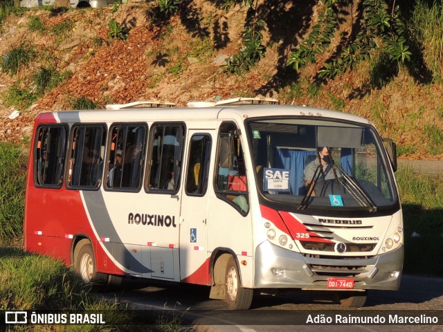 Rouxinol 325 na cidade de Belo Horizonte, Minas Gerais, Brasil, por Adão Raimundo Marcelino. ID da foto: 8882400.