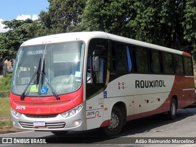 Rouxinol 2075 na cidade de Belo Horizonte, Minas Gerais, Brasil, por Adão Raimundo Marcelino. ID da foto: 8881483.