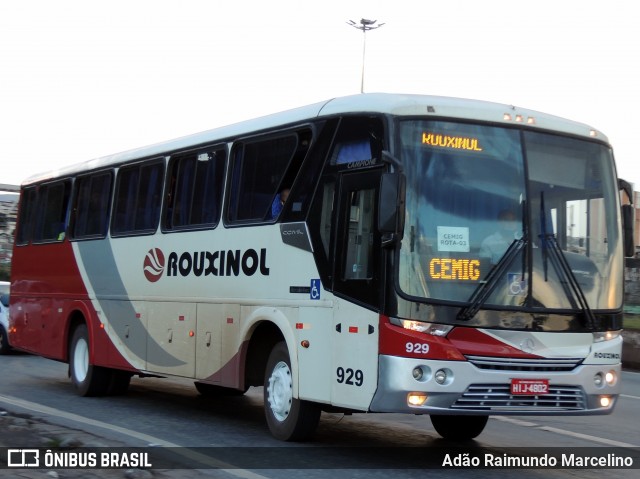 Rouxinol 929 na cidade de Belo Horizonte, Minas Gerais, Brasil, por Adão Raimundo Marcelino. ID da foto: 8884309.