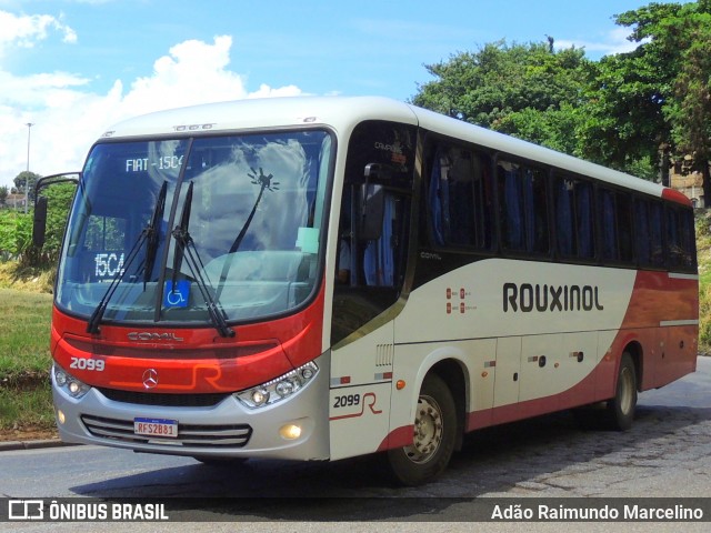 Rouxinol 2099 na cidade de Belo Horizonte, Minas Gerais, Brasil, por Adão Raimundo Marcelino. ID da foto: 8884128.