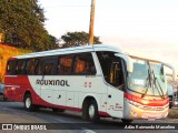 Rouxinol 2140 na cidade de Belo Horizonte, Minas Gerais, Brasil, por Adão Raimundo Marcelino. Número da foto: #:id.