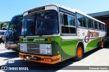 Viação Graciosa 155 na cidade de Curitiba, Paraná, Brasil, por Fernando Santos. Número da foto: #8981366.