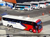 Pluma Conforto e Turismo 4935 na cidade de Rio de Janeiro, Rio de Janeiro, Brasil, por Richard Wagner. Número da foto: #8986600.