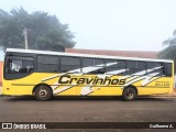 Prefeitura Municipal de Cravinhos 9915 na cidade de Cravinhos, São Paulo, Brasil, por Guilherme A.. Número da foto: #8992341.