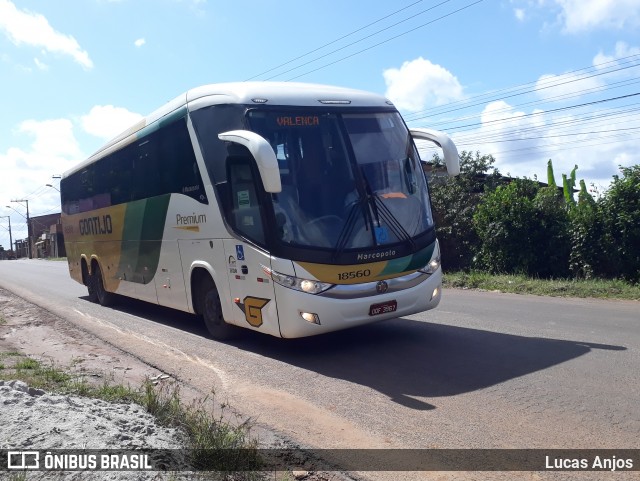 Empresa Gontijo de Transportes 18560 na cidade de Ituberá, Bahia, Brasil, por Lucas Anjos. Número da foto: #8996780.