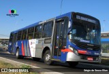 Transportes Capellini 19.085 na cidade de Campinas, São Paulo, Brasil, por Sérgio de Sousa Elias. Número da foto: #9000581.