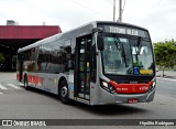 Express Transportes Urbanos Ltda 4 8788 na cidade de São Paulo, São Paulo, Brasil, por Hipólito Rodrigues. Número da foto: #:id.