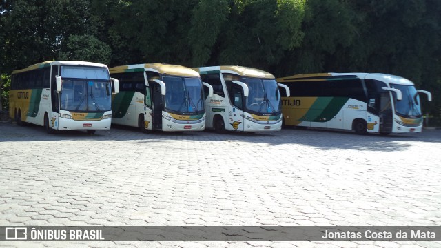 Empresa Gontijo de Transportes 12465 na cidade de Governador Valadares, Minas Gerais, Brasil, por Jonatas Costa da Mata. Número da foto: #8957430.