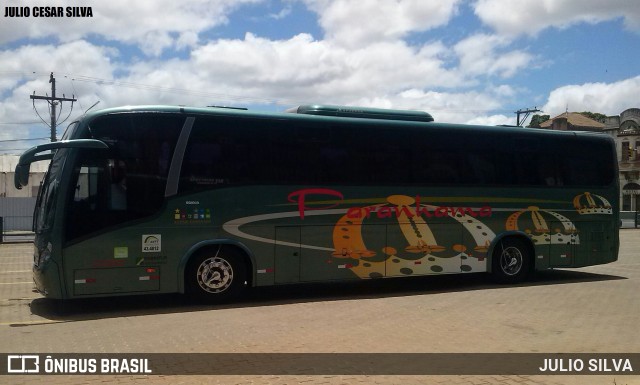 Paranhama Turismo 0210 na cidade de Porto Alegre, Rio Grande do Sul, Brasil, por JULIO SILVA. Número da foto: #9010451.
