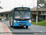 Viação Grande Vitória 23942 na cidade de Vitória, Espírito Santo, Brasil, por Wellington  da Silva Felix. Número da foto: #9008349.