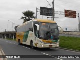 Empresa Gontijo de Transportes 19395 na cidade de Vitória, Espírito Santo, Brasil, por Wellington  da Silva Felix. Número da foto: #9008093.